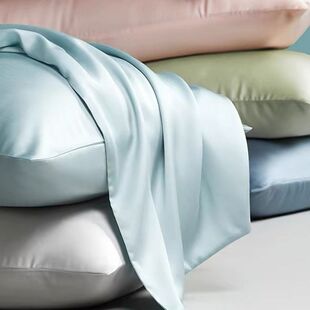 Ice Silk Tencel Pillowcase Summer Cool Feeling Pair Double-Sided Ice Silk High Count Pure Color Silk Light Luxury Pillowcase