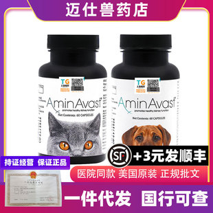 U.S. Amine Kidney Failure Stopped Cats with Regular Approval for Dogs Imported from U.S. Pet Dogs with 300mg for Cats