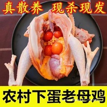 FrrɢBu2ĸuuuuuߵuɽu