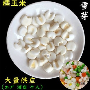 ѩѿ�׏V�����w��Ŵ�����^������ÓƤ�������ˏS�����l������