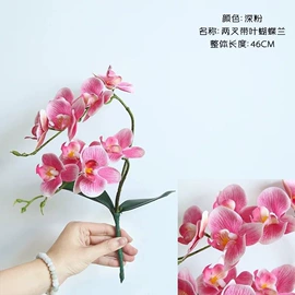 花盆容器;陶瓷工艺品;装饰花瓶