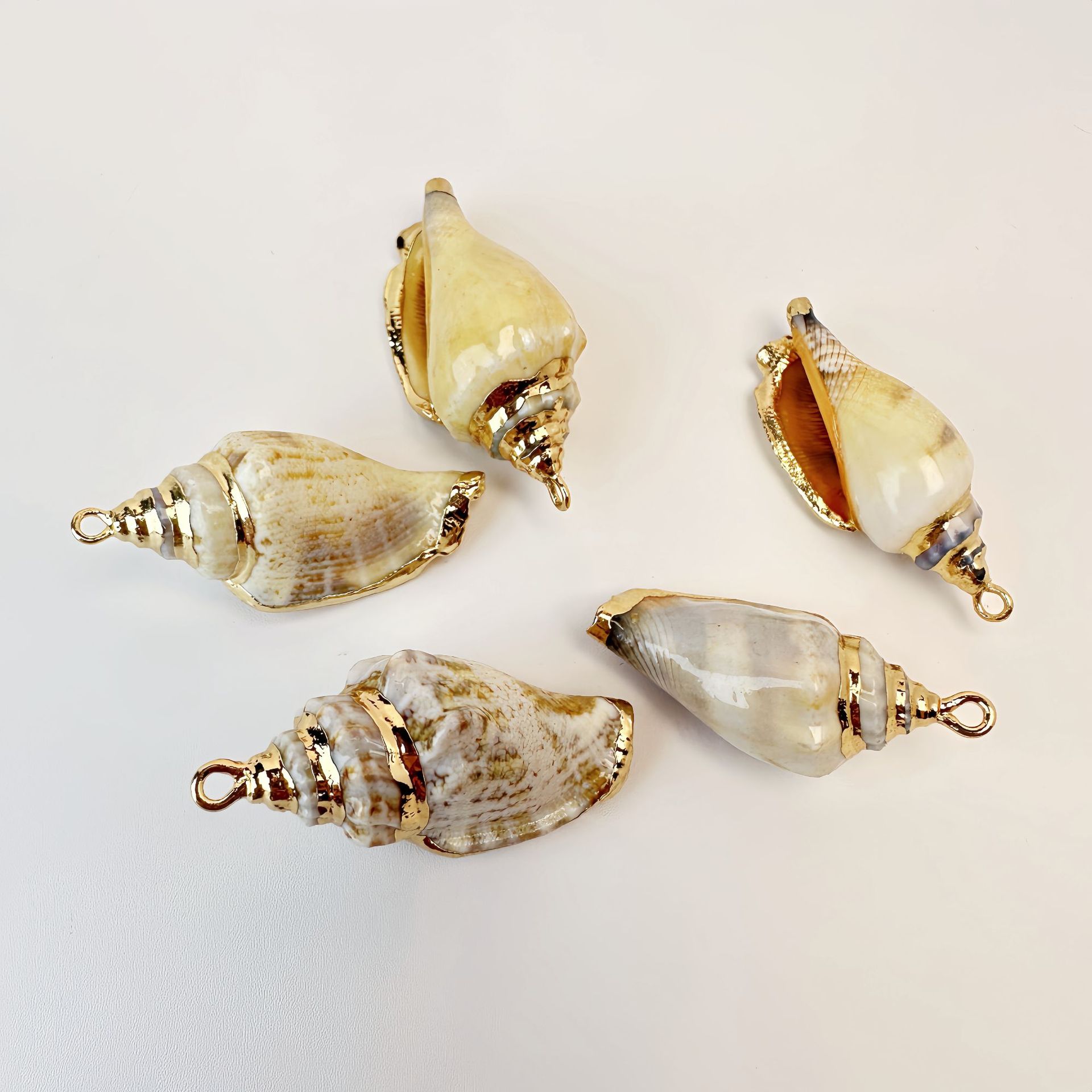 49 검은입달팽이 (각각 질감이 다름)