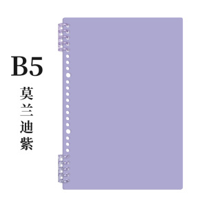 B5 쉘/모란디 퍼플