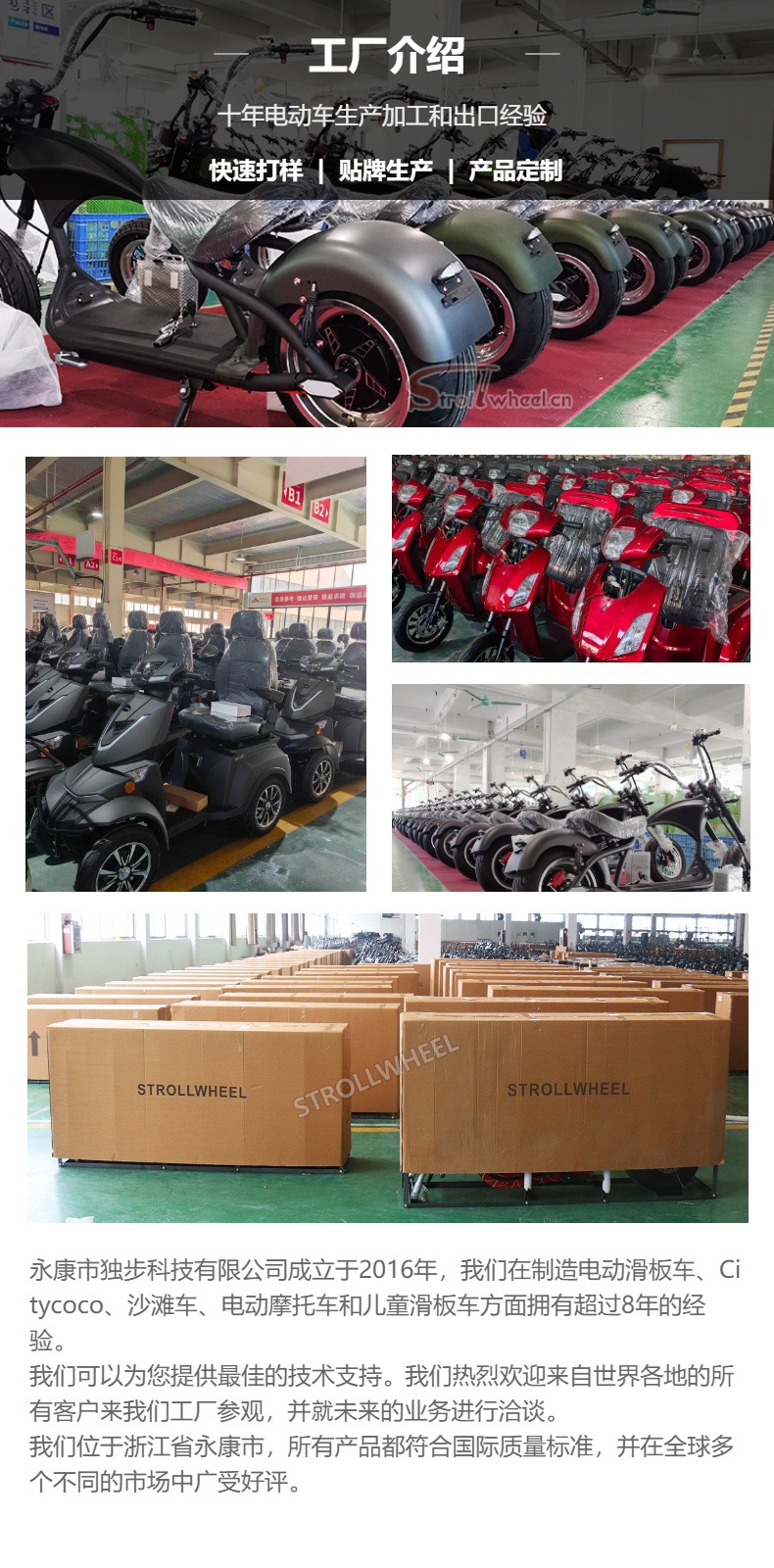 European Warehouse Dropshipping Cp-3 Adult Electric Three-Wheeled Scooter Fat Tire Mobility Scooter Cross-Border Export