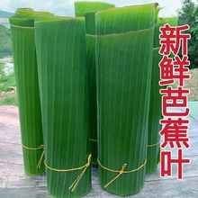 芭蕉叶广西新鲜现摘香蕉粉西贡米糍粑菜肴摆盘糕点3斤1斤5斤一件