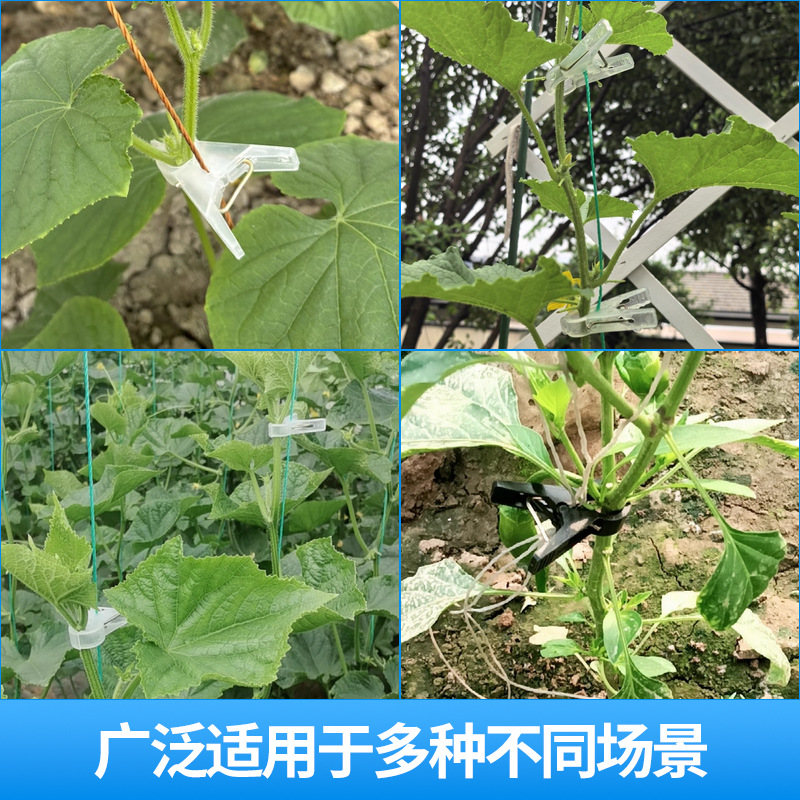 Hanging seedling clamp cross-border supply greenhouse vegetable fixed plastic clamp agricultural cucumber tomato tomato tied vine clamp seedlings 4