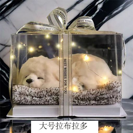 Regalos de Día de San Valentín, novia, novia, regalo de cumpleaños, muñecas de simulación de animales llamarán gatos.