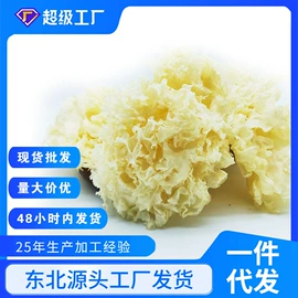 黑木耳;蘑菇;香菇
