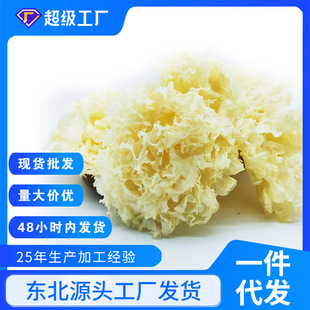 ����ɢ�bѩ���ǳ��Ŵ���y����؛���l���ۼt���ٺϺ�����