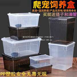 人渣盒爬虫箱螳螂跳蛛养蚕饲养盒爬行动物睫角寄居蟹饲养箱默认牛