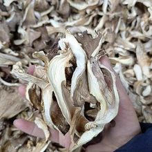 ƽ����؛ƽ����500�˰��]ƽ���l�r��С�����Pβ��Ģ����؛���㹽