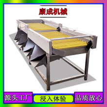 304不锈钢洋葱蔬菜清洗机 天麻清洗机 中药材毛刷清洗机 价格优惠