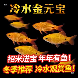 ��ˮ�^�p�~��Ԫ���~�������T����Ⱥ�������M���~С���~ԭ���~�a��