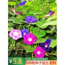 ��ţ���N������ֲ����Ԯ�҃��̨�����ļ��Nֲ�_�������Ȼ��N����