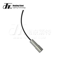 LED装饰灯;工艺装饰灯具;广告灯具