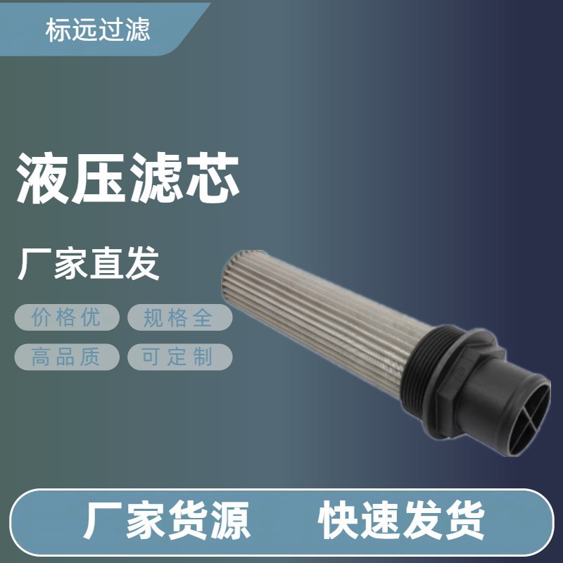 挖掘机滤芯32/920300液压吸油滤芯