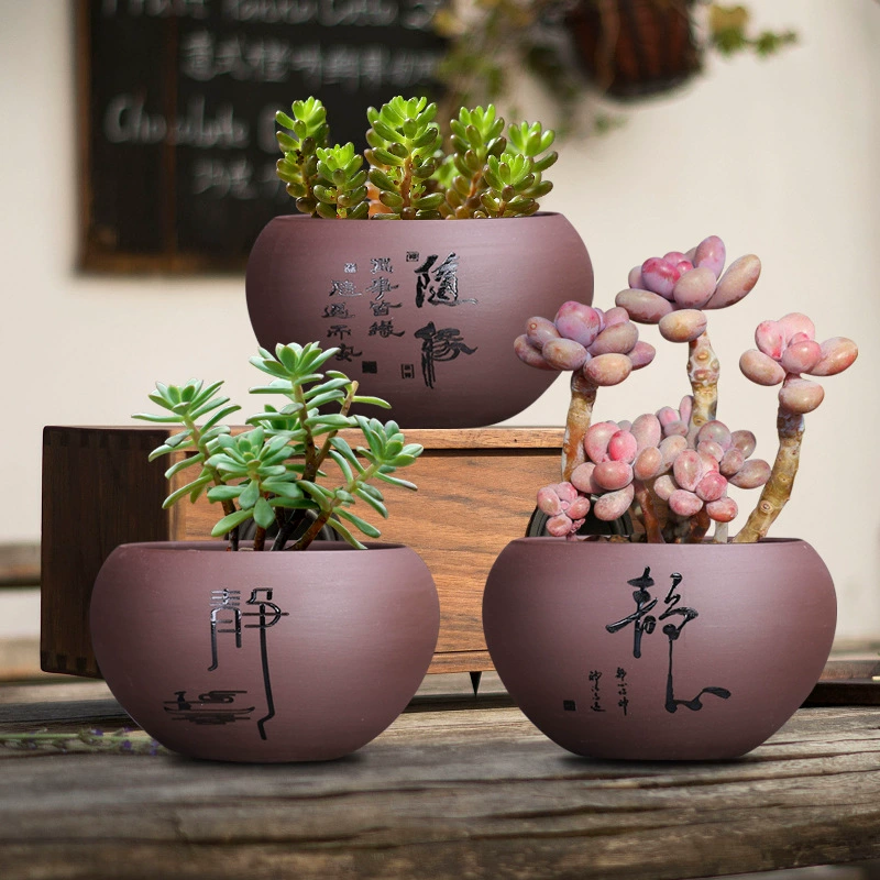 Спаржа зеленая посадка фиолетовый песок цветочный горшок Керамический Китайский мясистый маленький старый ворс пейзажный бассейн Новый дышащий Настольный бассейн для большого пальца оптом