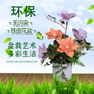 �FƤ������滨ˇ�ҾӔ[���e��Ժ�b�ƿ����������S�ҹ���