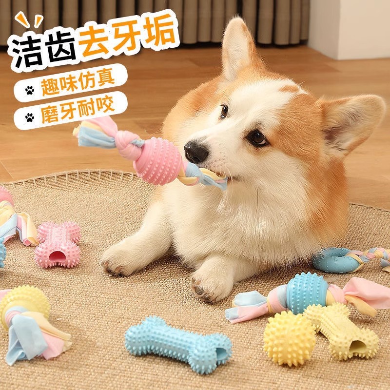 犬のおもちゃ 噛む棒 噛みつき防止 小型犬 子犬 ペット用品 骨棒 噛むゴムボール 犬セット