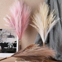 �Gֲ���JȔ����˹�������滨�S�Ҽٻ����l�b�ˇƷINS�LMW85101