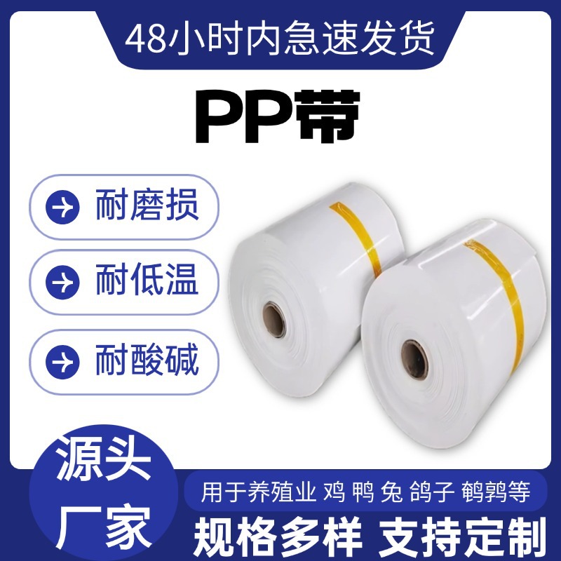 养殖场清粪带pp鸡粪带鸡鸭鸽子兔子养殖场自动干湿分离养殖清粪带