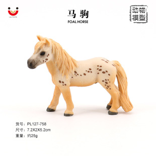 �羳 ����Ұ�� ��������ģ�͌����o�B  �R�xС�R  ���Ϸ������