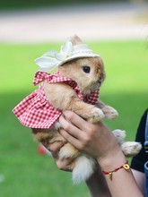 �����·��������à����K������m�i����b�籣ůȹ���cȹ���