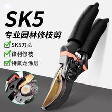 SK5��֦�����@�ֻ�ˇ�޼���֦������������ִ󻨼�@ˇ���ӹ���