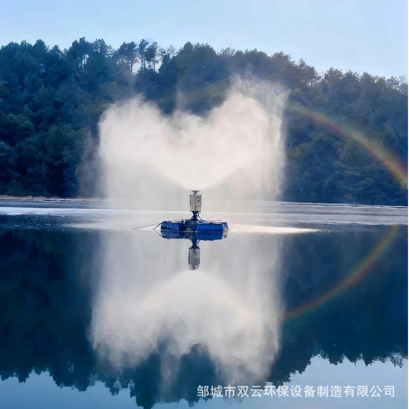 Energy and Chemical Evaporation Pond High-Salt Wastewater Evaporator Mechanical Atomization Evaporator with Rich Case Studies