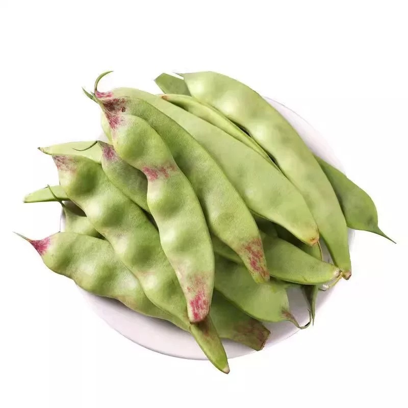 东北新鲜油豆角一点红油豆角现摘特产大全小油豆5斤|undefined