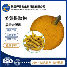 姜黄素10%95%98%姜黄提取物姜黄素粉1kg食品级原料工厂现货可寄样