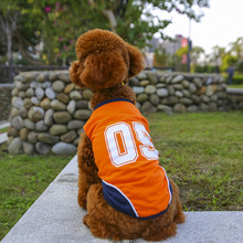 ﹷ̩ײɫ\T͸СȮ·Ŀ_T