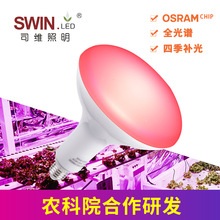 Ledȫ���Vֲ�����L�a����ļ��a��̫ꖹ��՟��҃�ֲ����������