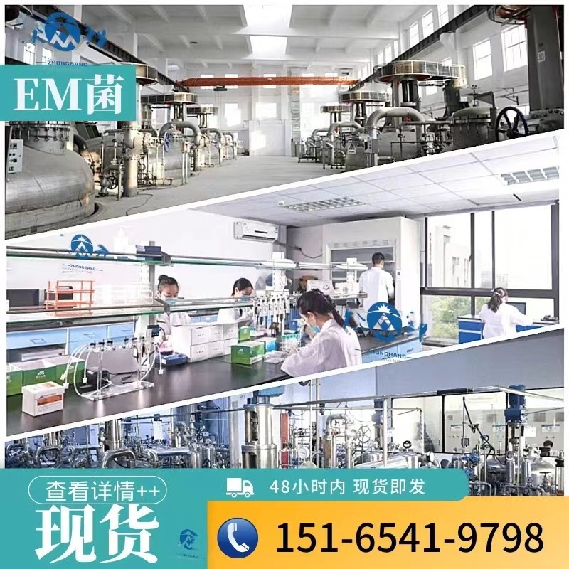 微信图片_20240314213412