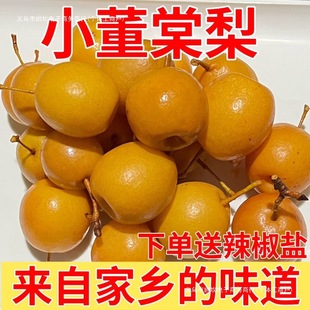 �V����S�����������B��ɳ��J�ݮa�����_θˮ�����������_θ