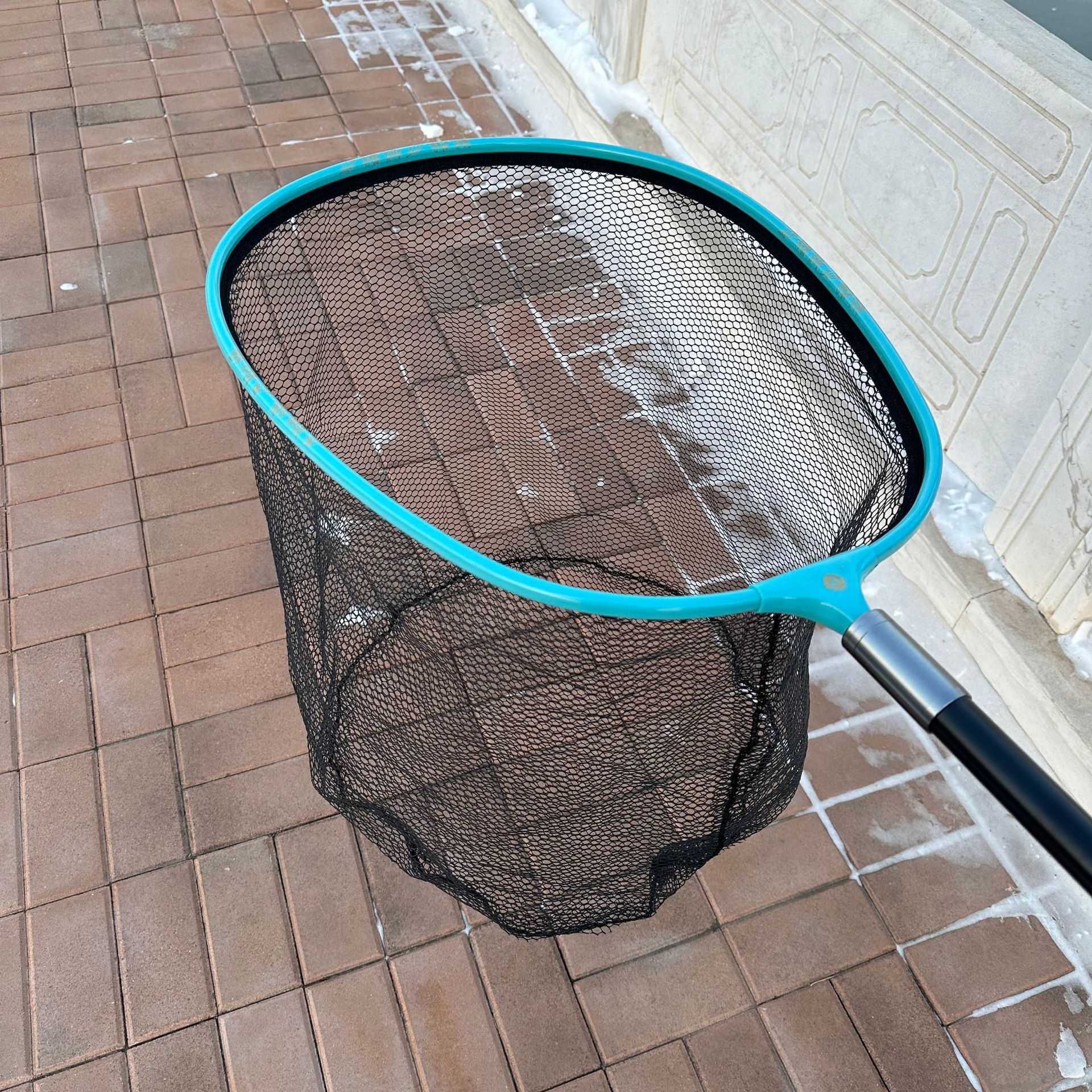 Oval large rubberized mesh head blue circle
