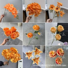 Ī�λ��@��ɫϵ���滨��Y���b��ߵ��·���ٻ�����õ�彑��