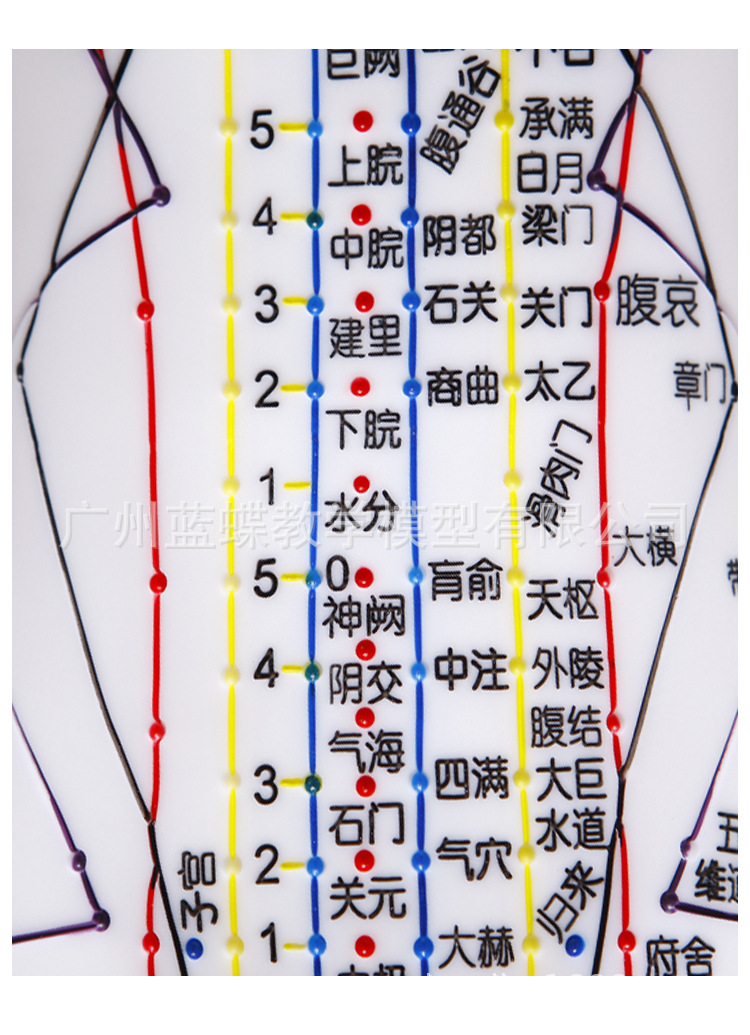 5262cm针灸人_18