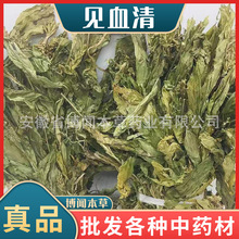 ҊѪ����ș����������غ�ë�ȹ�������m���������²ݸ�