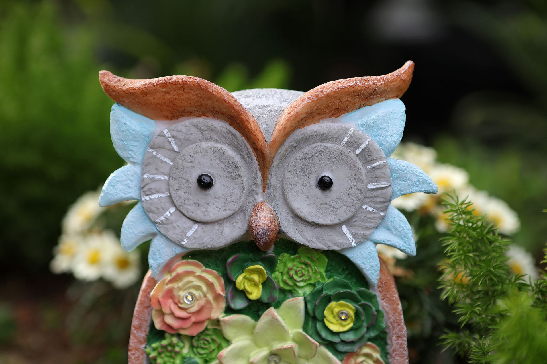 猫头鹰详情图 (9).jpg