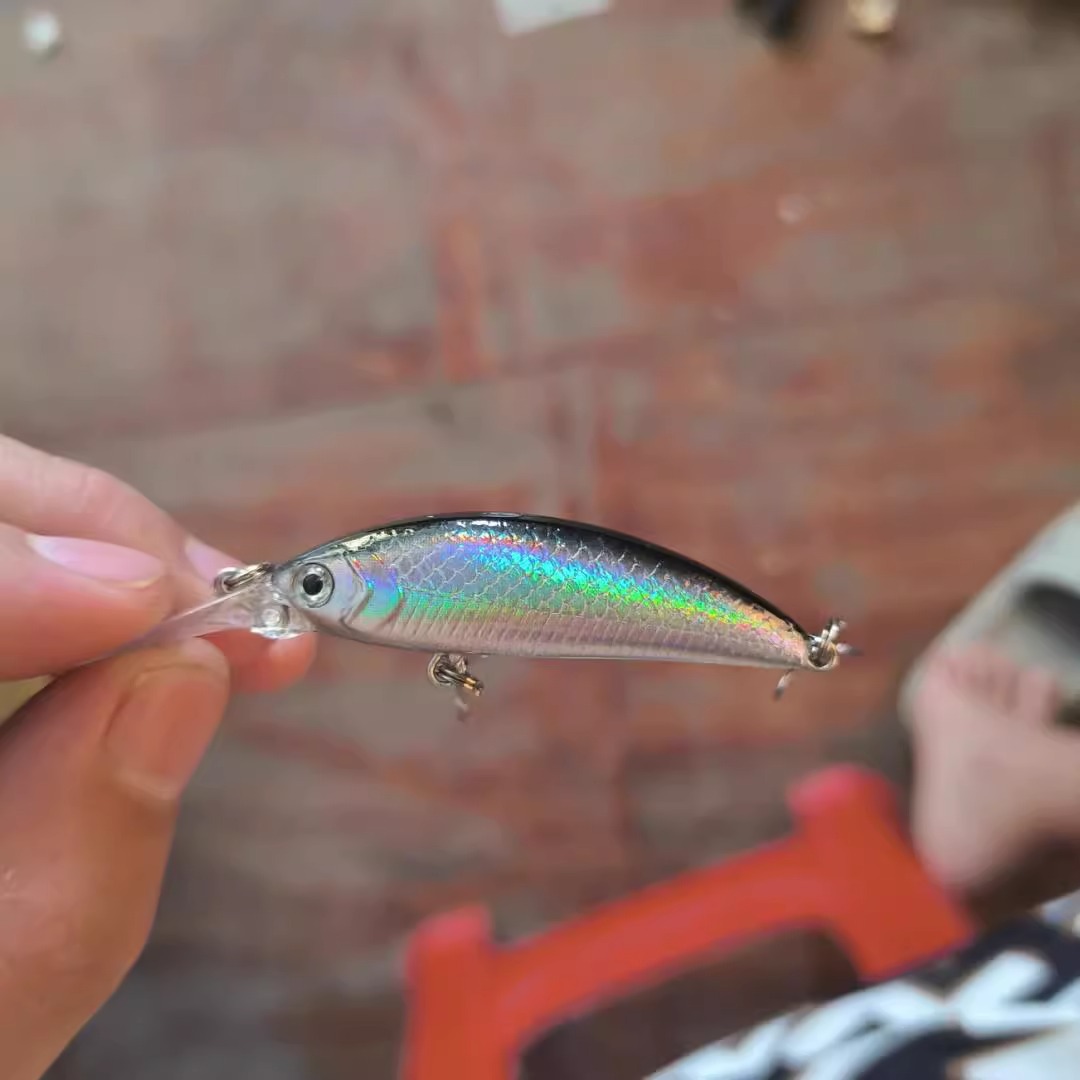 Pez mandarín Mino micro inmersión profunda lengua larga sumergida en agua pequeña Mino perca pez militar Rofei trucha de ojos rojos boca boca boca arriba Luya cebo falso