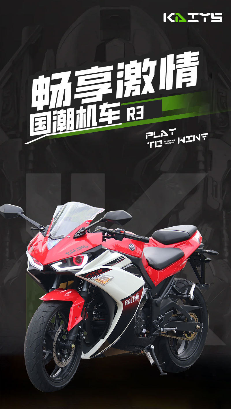 Motorcycle Sports Bike R3 Imitation Racing Motorcycle, Air-Cooled, National Standard Iv, Electronic Fuel Injection, Dual-Cylinder, Water-Cooled Street Bike, Fuel-Powered Sports Bike for Export