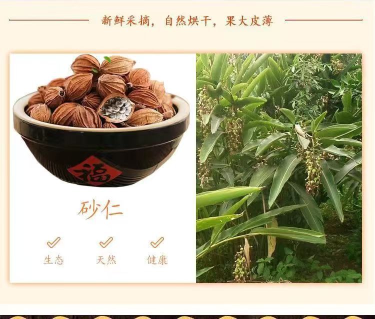 Xiang Sha Ren Fragrant Amomum 500g Sichuan Dried Culinary Herb for Braising Stews and Marinades quality and texture