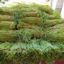 (�S���)�عϹ��ɼt���ٗU��؛�ع����r�aƷ�خa�ɲ�500g�t����ɽ