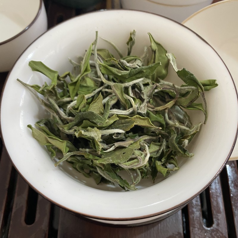 微信图片_202302141613252