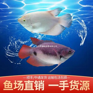 ���~�ב��~���~��Ş�~���͟Ꭷ�^�p�~���~���~