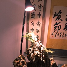 落地灯灯架diy仿太阳室蔬菜水草花卉灯多肉补光灯 家用植物生长灯