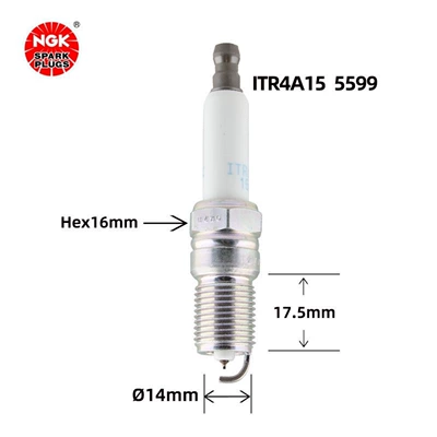 pioneer torch, Alışdırma şamı (Sveçalar)