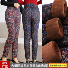 驼绒棉裤女高腰加绒加厚中老年人三层保暖裤冬季棉裤女士棉裤批发
