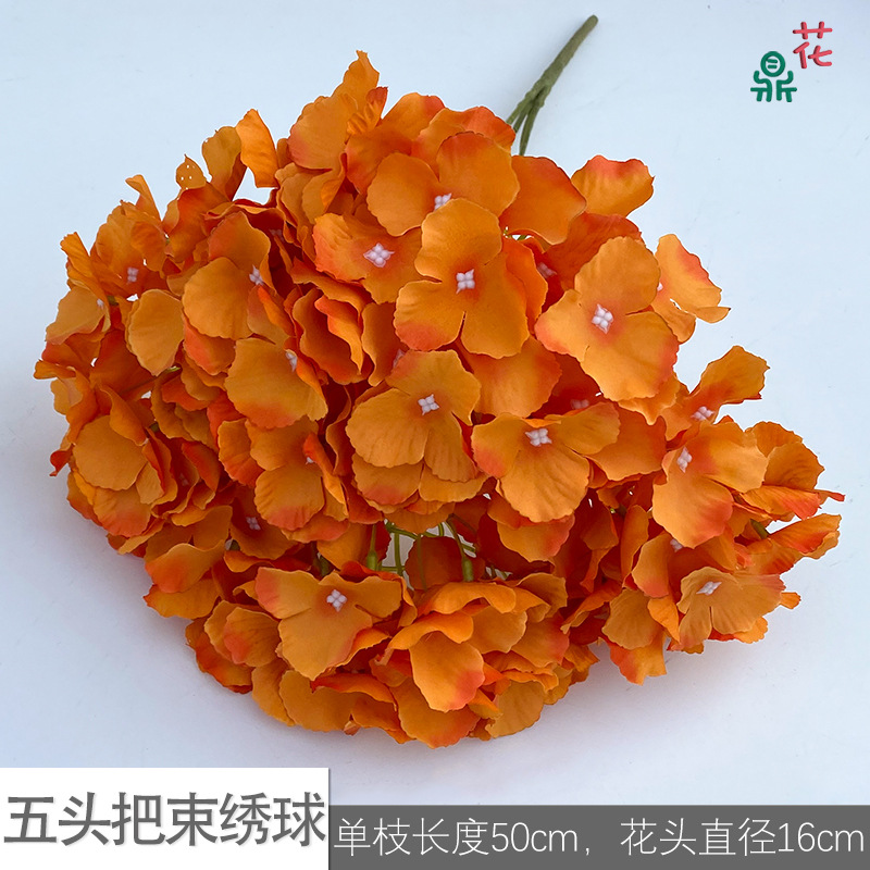Five -headed hosem LS orange